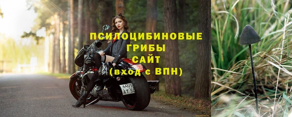 a pvp Медногорск