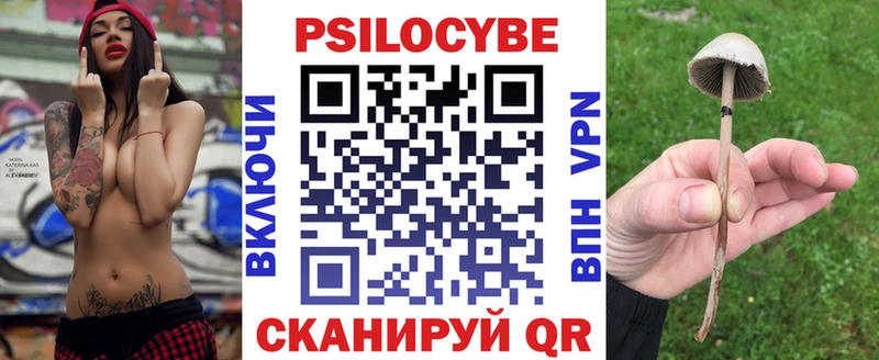 продажа наркотиков  Озёрск  Псилоцибиновые грибы мицелий 